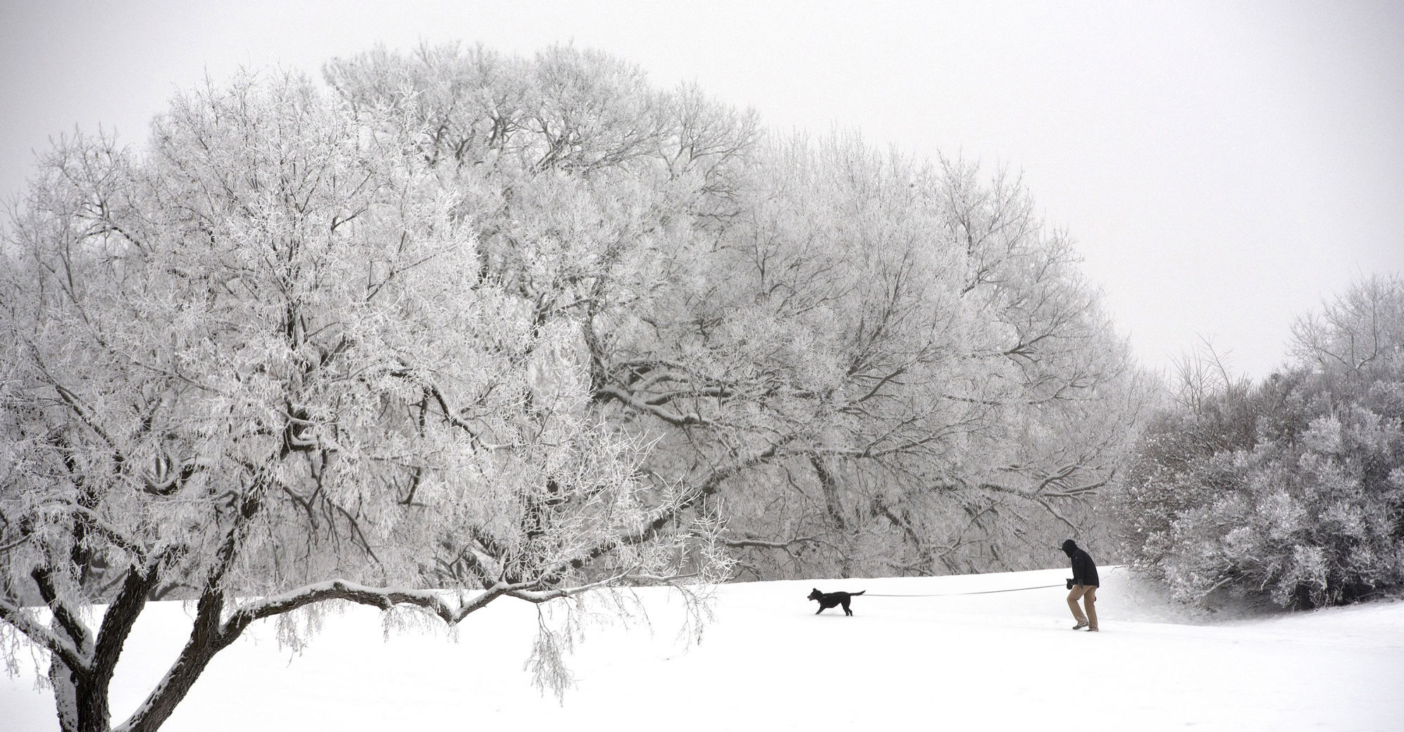 Winter walk